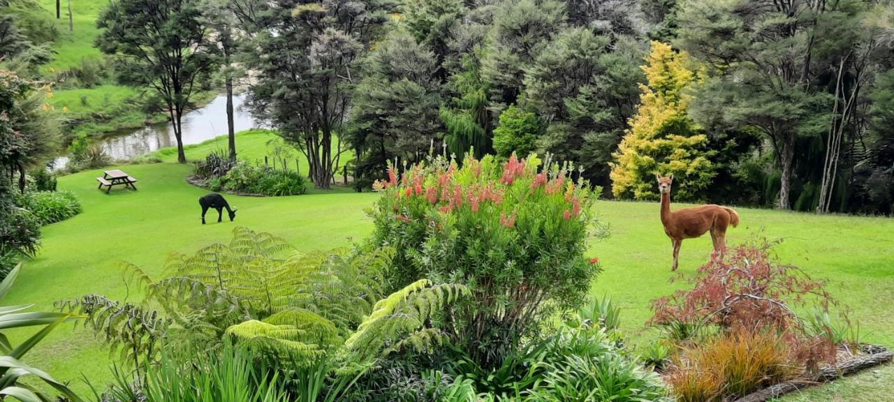 Riverside Homestead Paihia Extérieur photo