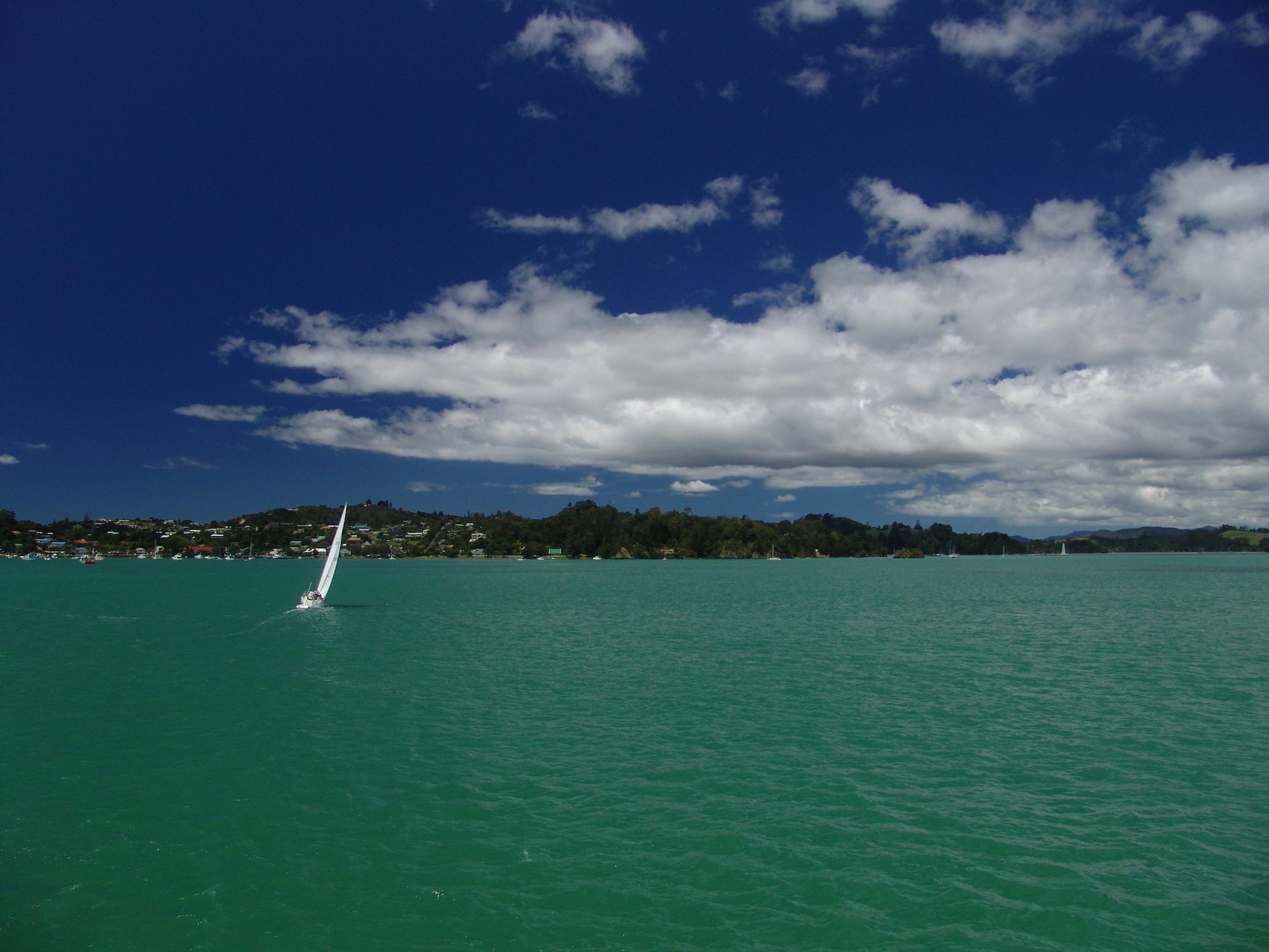 Riverside Homestead Paihia Extérieur photo